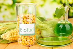 Tain biofuel availability