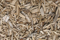 biomass boilers Tain